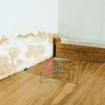 MOLD REMOVAL VS. MOLD REMEDIATION
